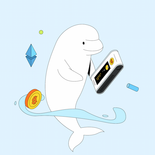 Beluga holding a hardware wallet
