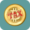 BitcoinTaxes Logo