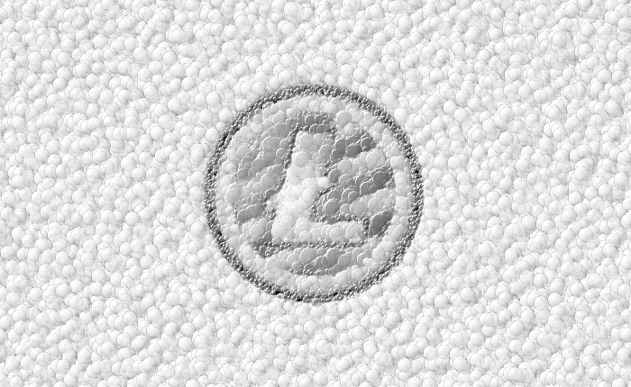 Image for 10 Fun Litecoin Facts
